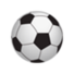澳女联全明星女足